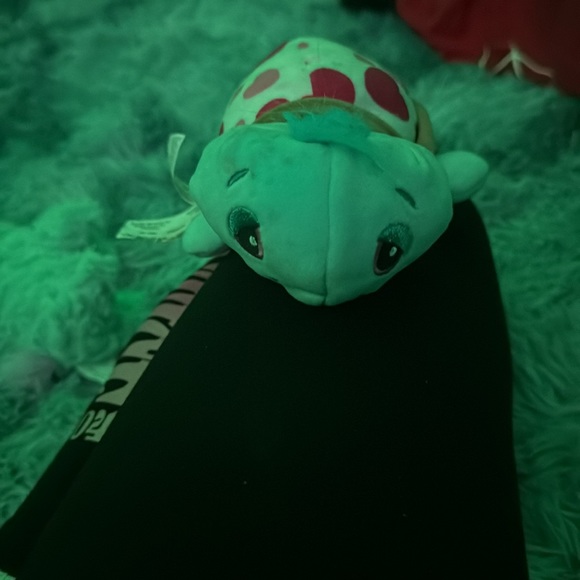 Turtle - Picture 6 of 8